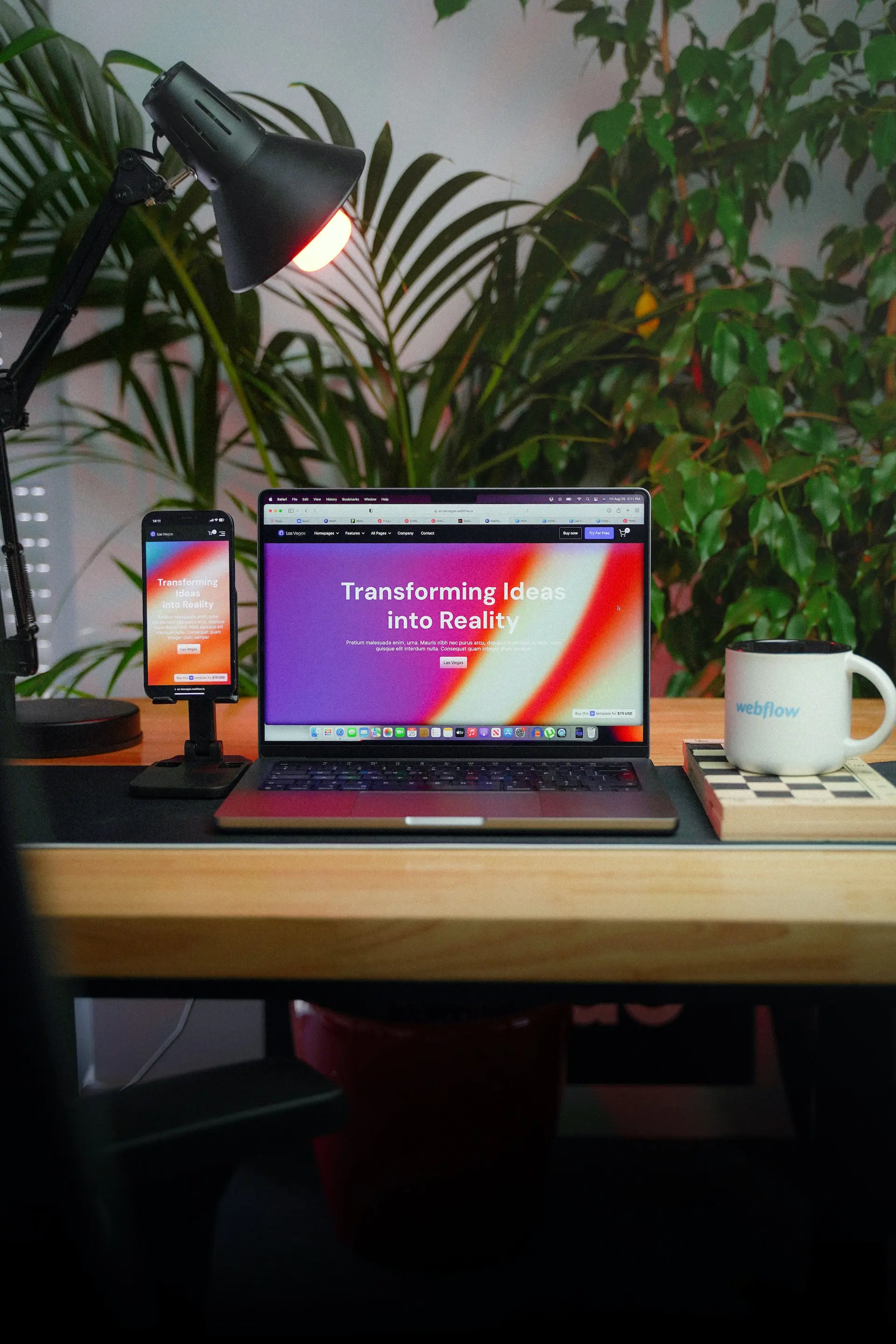 Becoming a Web Designer & Web Developer