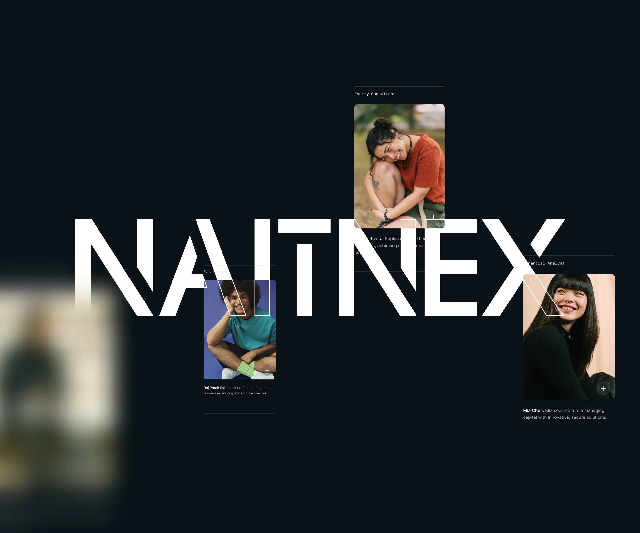 Naitnex, IT recruitment company